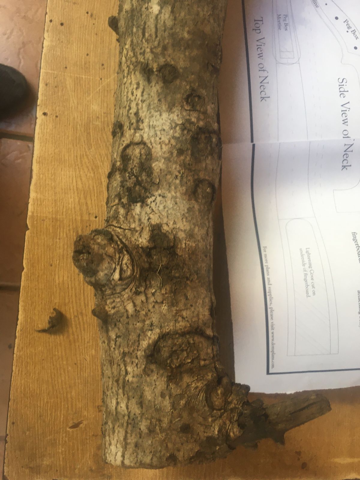 WhatsApp Image 2025-04-27 at 23.11.00.jpeg